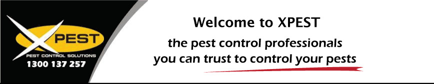 XPEST Pest Control Solutions Pic 1