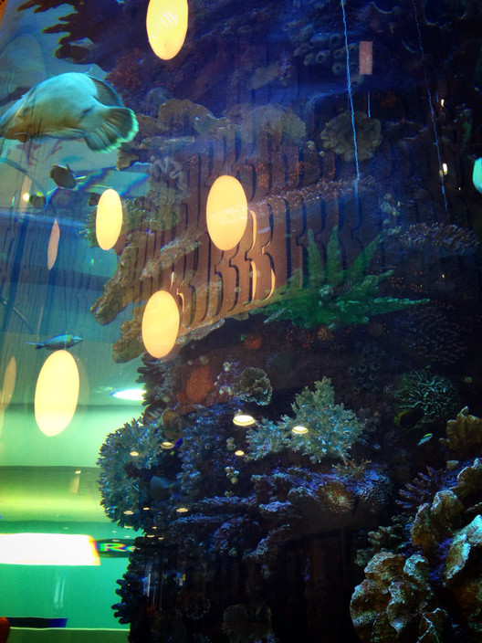 Royal Children's Hospital Pic 2 - Aquarium main feature