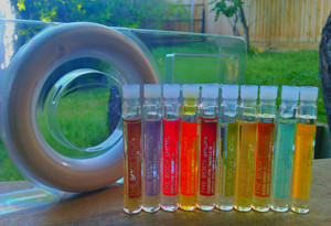 M and R Solutions Pic 2 - The Body Shop Home Fragrance Oils