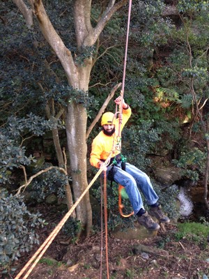 Chop & Lop Tree Services Pic 4