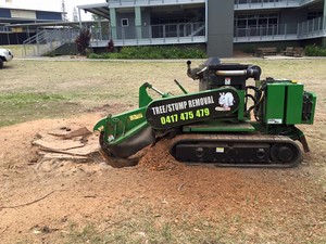 Rhino Trees Pty Ltd Pic 5 - Huge tree removal Brisbane