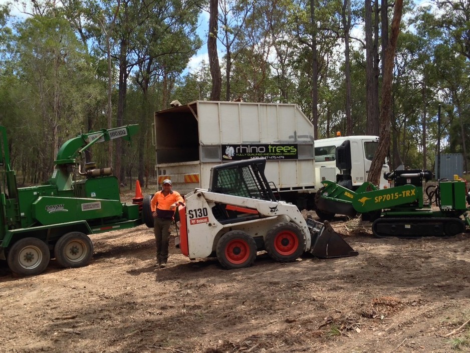 Rhino Trees Pty Ltd Pic 1 - Land Clearing Gold Coast Hinterland