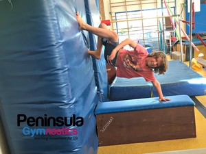 Peninsula Gymnastics Pic 3 - Free G and Gym For All