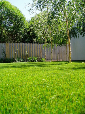 Audet Landscapes Pic 5 - synthetic grass caulfield