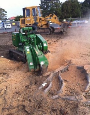 Tree Industries Pic 2 - Stump Grinding and Removal Gold Coast