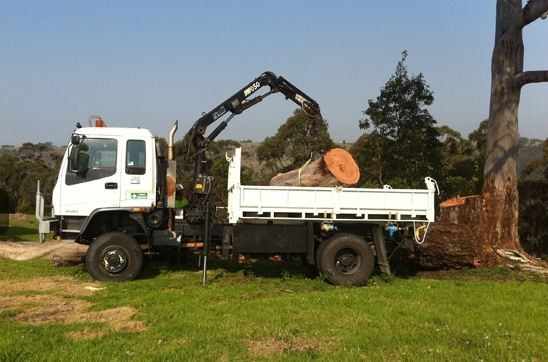 Tree Industries Pic 1 - Tree Removal with Crane Gold Coast