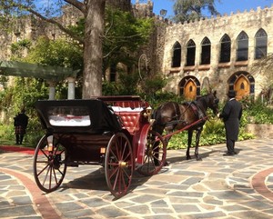 Carriage of Occasion Pic 2