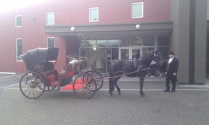 Carriage of Occasion Pic 3 - Rain hail or shine