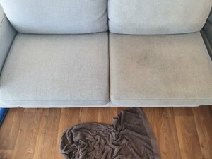 Professional Upholstery Cleaning Sydney Pic 4