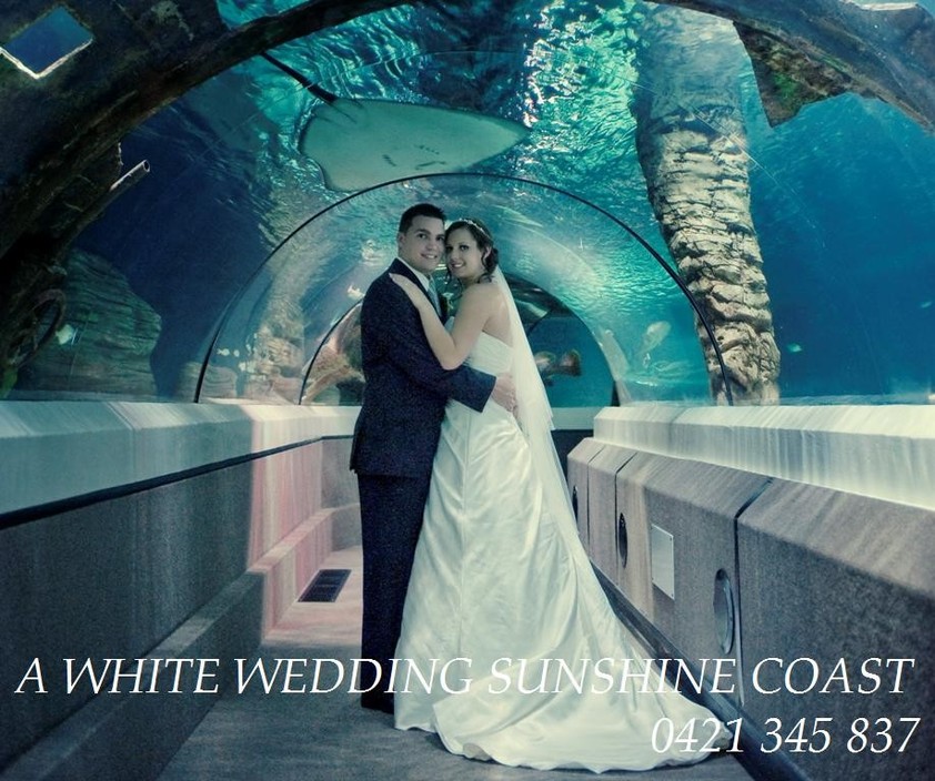 A White Wedding Sunshine Coast Pic 1 - Make your Wedding Day Dreams come true