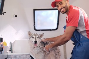 Jim's Dog Wash East Gosford Pic 3 - Jims Dog Wash East Gosford Mobile Dog Groomer