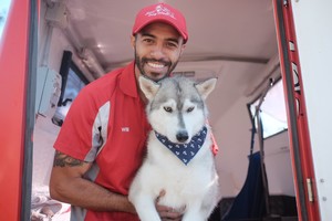 Jim's Dog Wash East Gosford Pic 2