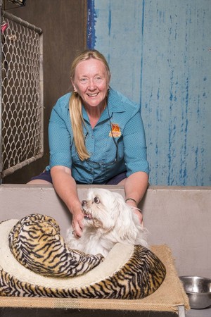 Nelson Bay Boarding Kennels Pic 5 - Wicket enjoying cuddle time in our dedicated small dog area at wwwnelsonbaykennelscom