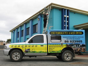 Eyre Peninsula Pest & Weed Control Pic 3 - Treating bees behind one of our pest control vehicles