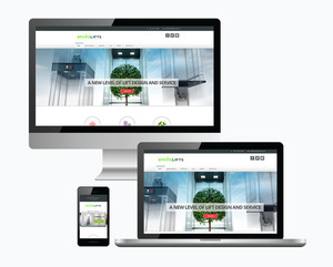 Webkingdom Pic 5 - Enviro Lifts Website Development WordPress