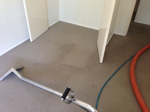 Carpet cleaning tewantin  alpha fresh Pic 3