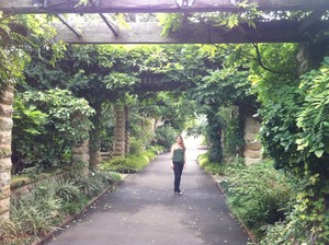 Liselle Maxworthy Naturopath Pic 5 - Botanic Gardens Sydney Sydney Naturopath