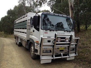 Heinecke Livestock Transport Pic 3