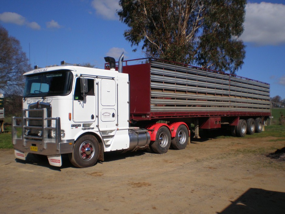 Heinecke Livestock Transport Pic 1