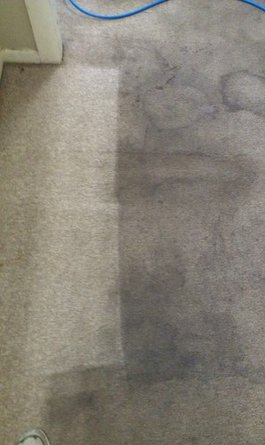 Express Carpet Cleaning Burleigh Waters Pic 3 - Customer was able to get his bond back Great result