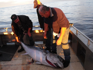 Southern Coast Charters Pic 4 - Port Fairy Fishing Charters