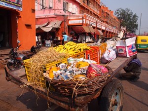 Epicurious Travel Pic 3 - Luxury Tours in India