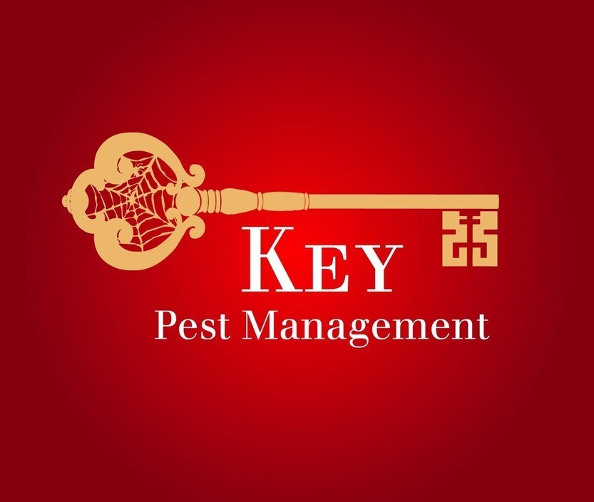 Key Pest Management Pic 1