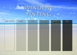 Mild to Wild Window Tinting Pic 2