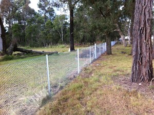 Stockworx Pty Ltd Pic 5 - Galvanised star picket throughout RHS steel strainer posts and stays 5 strands of wire netted and clipped Londonderry NSW