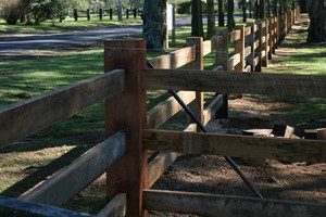 Stockworx Pty Ltd Pic 2 - Hardwood Post N 3 Rail mortised a premium fence line Maraylya NSW