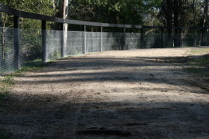 Stockworx Pty Ltd Pic 4 - Post N 1 Rail through bolted 4 strands of wire netted and clipped Kurrajong NSW