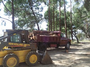 Mike Brown Earthworks And Bobcat Pic 3