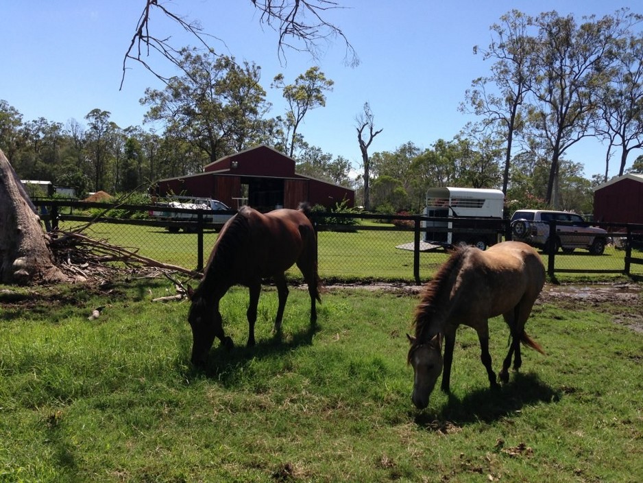 attitude adjuster Pic 1 - Lily and Rain