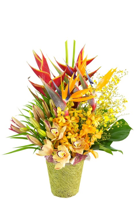 Lavish Floral Design Pic 1 - Tropical arrangement