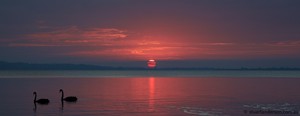 Swan Cove on Raymond Island Pic 2 - Sunrise from beach side