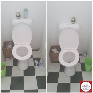 BKM - After Party Rescue Pic 2 - Toilet clean before after