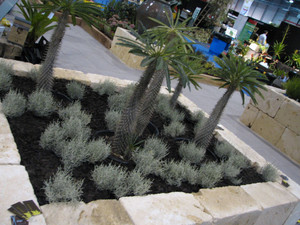 PAUL JACKSON GARDENS Pic 3 - abc garden show 2008