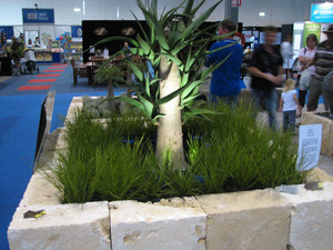 PAUL JACKSON GARDENS Pic 2 - abc garden show 2008