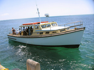 Kestrel Fishing Charters Pic 5 - Beautiful day on the Bay