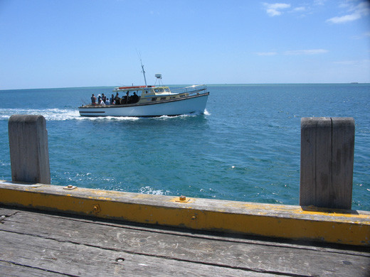 Kestrel Fishing Charters Pic 1 - Kestrel III from Sorrento Pier