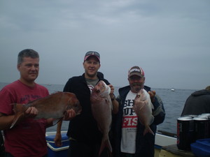 Kestrel Fishing Charters Pic 2 - Some Snapper for dinner