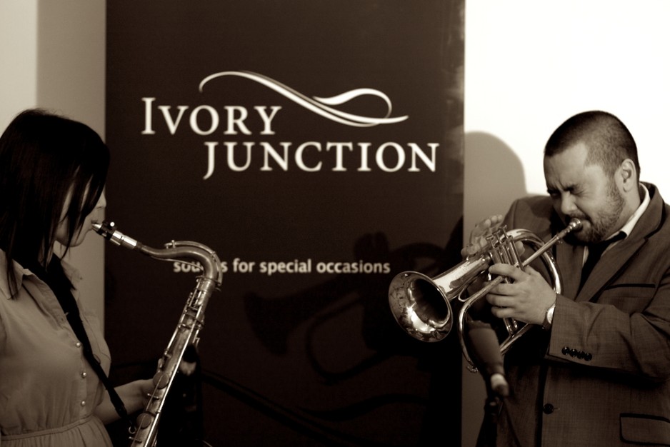 Ivory Junction Pic 1 - Ivory Junction Horns