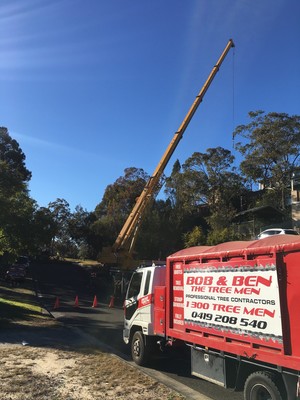 Bob & Ben The Tree Men Pic 5 - Woronora Heights a beautiful day to be working July 2017