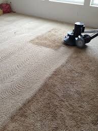 Carpet Cleaning Kallangur Pic 3