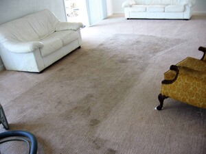 Carpet Cleaning Kallangur Pic 4