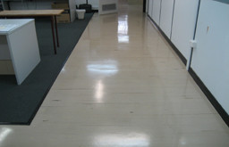 Professional Carpet Cleaning & Floor Maintenance Pic 4