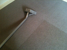 Professional Carpet Cleaning & Floor Maintenance Pic 1