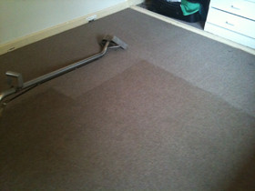 Professional Carpet Cleaning & Floor Maintenance Pic 2