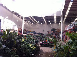 Bunnings Mascot Warehouse Pic 4