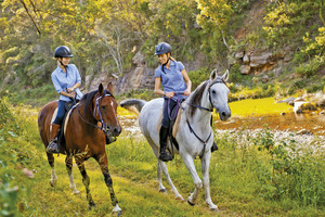 Fordsdale Horseback Adventures Pic 2